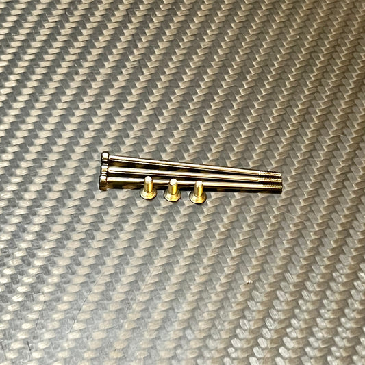 Sortafast Titanium Screws for R1 V30 Motors
